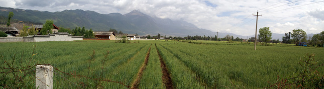 Lijiang farmlands