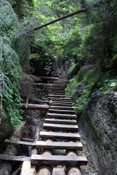 Path through the gorge