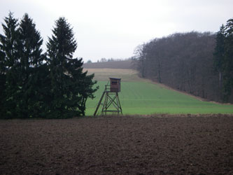 German landscape