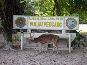 Sign of Peucang Island with deer