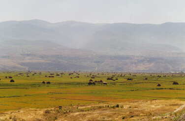 The fields of Zanjan