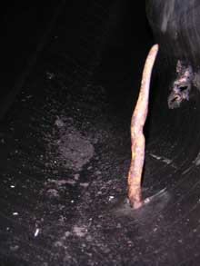 The nail inside the tyre