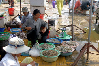 Shrimps at the market